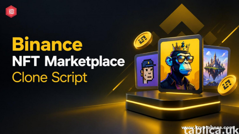 Top Binance NFT Marketplace Clone Script for Businesses 0