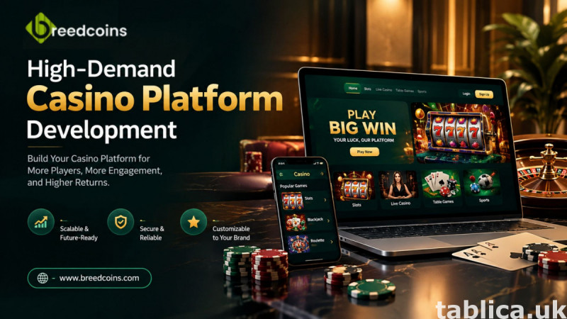 Bring Trending Casino Games to Life with High-Demand Casino  0